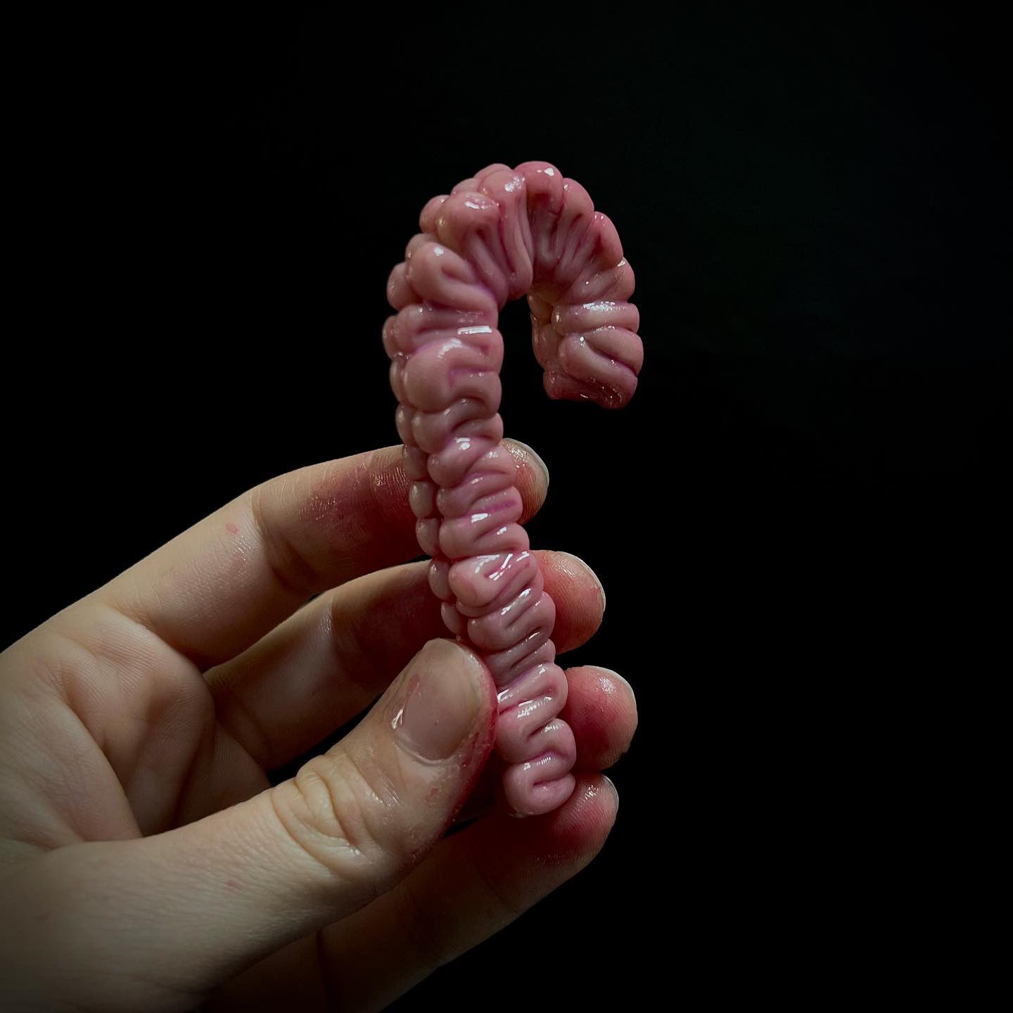 Candy Cane Candy Brain