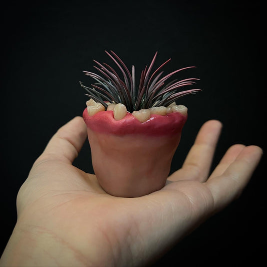 Tiny Toothy Plant Pot